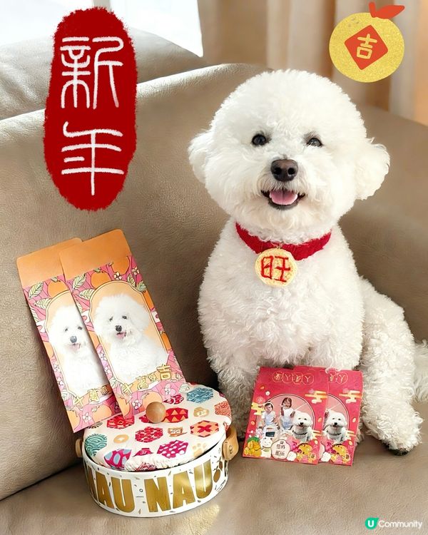 🧧🎊軒氏送福 賀年利是封製作全記錄