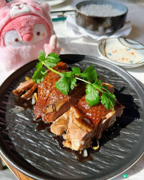 地方開揚舒服！🤤 影相一流！📸