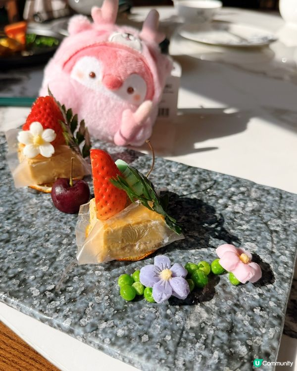 地方開揚舒服！🤤 影相一流！📸