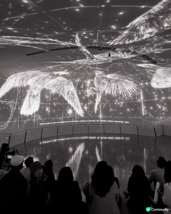 💗深圳灣萬象城「粉紅大街」開幕🛍️40+新店北上行街食飯必去🤩‼️