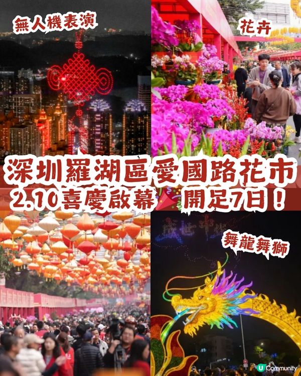 深圳羅湖區愛國路花市2.10喜慶啟幕🎉開足7日！
