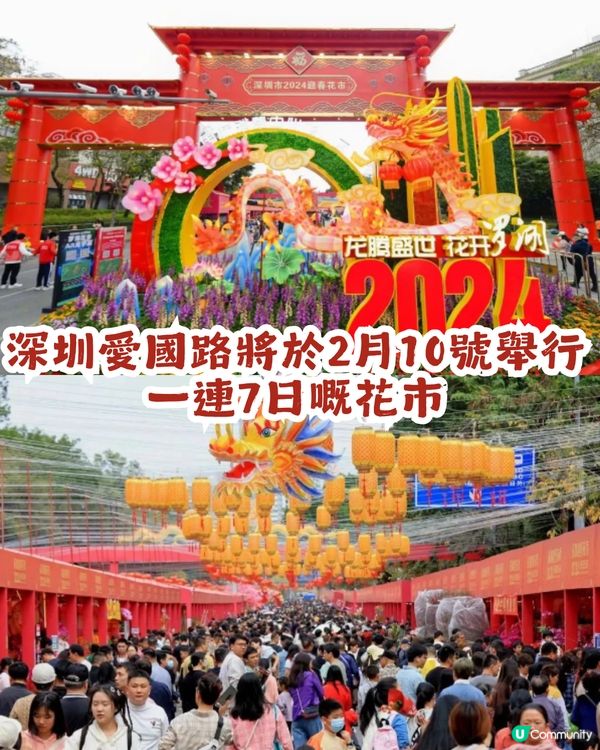 深圳羅湖區愛國路花市2.10喜慶啟幕🎉開足7日！