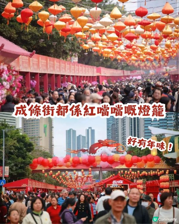 深圳羅湖區愛國路花市2.10喜慶啟幕🎉開足7日！