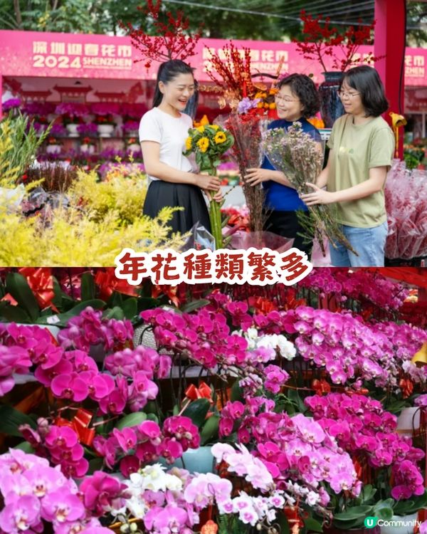 深圳羅湖區愛國路花市2.10喜慶啟幕🎉開足7日！