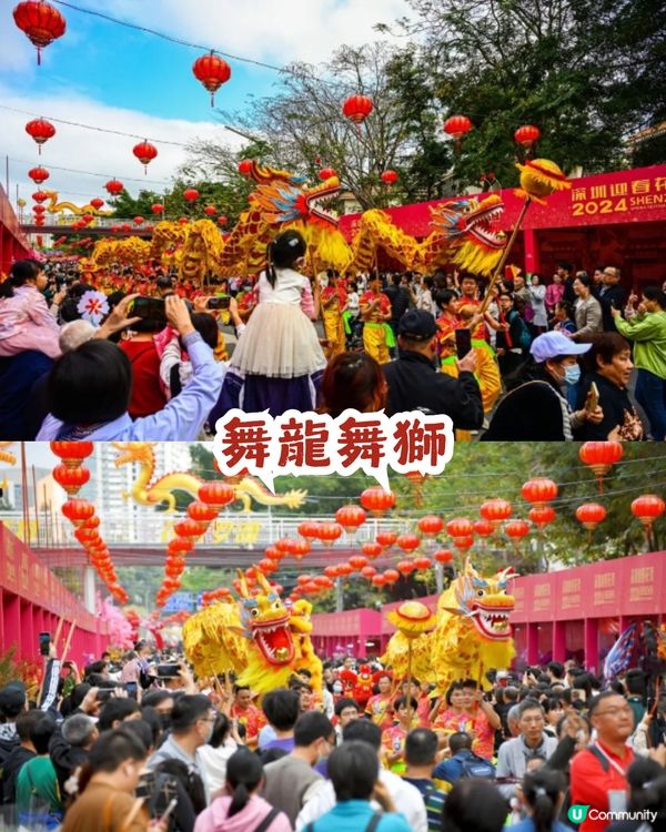 深圳羅湖區愛國路花市2.10喜慶啟幕🎉開足7日！