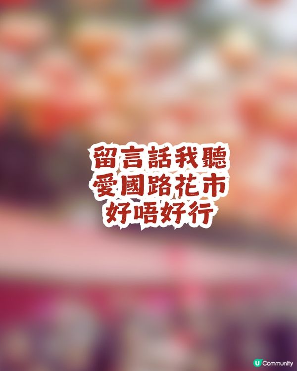 深圳羅湖區愛國路花市2.10喜慶啟幕🎉開足7日！