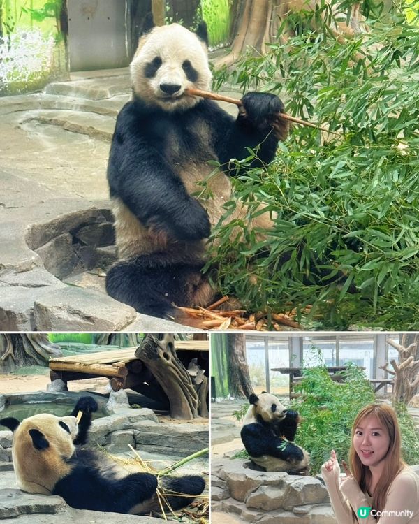 岳陽靚到癲！🤩 2日1夜攻略 ⛰️