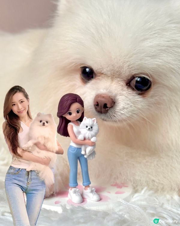 Q版人寵 3D Mini Figure 🐶🐱