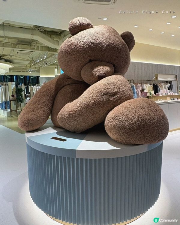 可愛熊啤啤主題Cafe