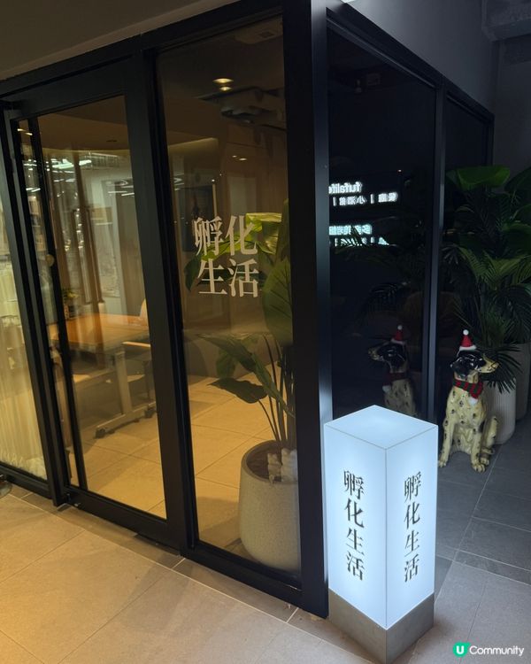 【 荔枝角工廈隱藏高質法國美食 】