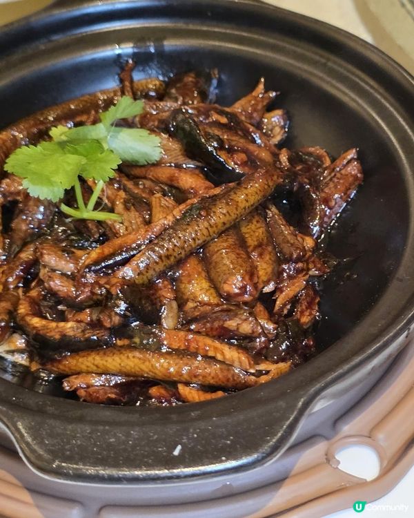 傳統與創新 @ 雪園壹號 ( 灣仔南洋酒店 )