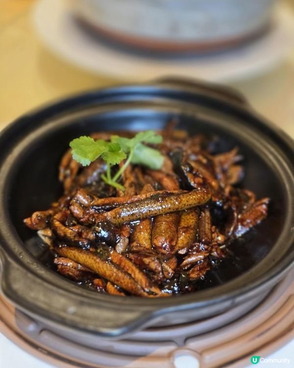 傳統與創新 @ 雪園壹號 ( 灣仔南洋酒店 )