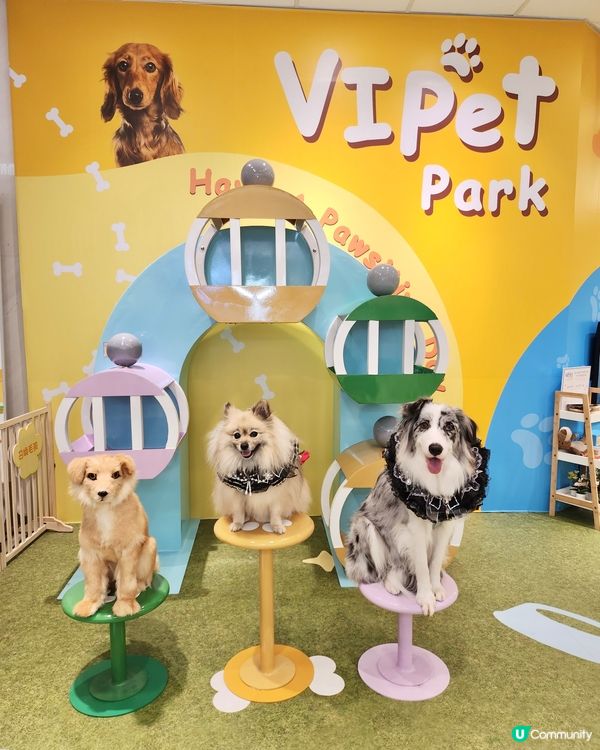 期待已久！東岸板道開通啦！🐶🌊