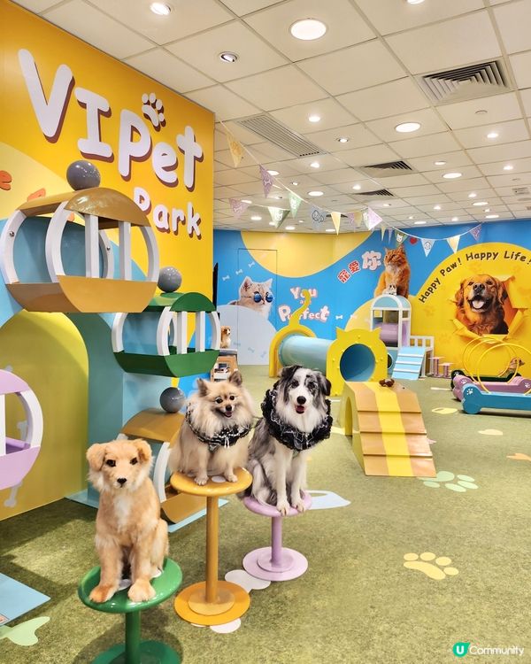 期待已久！東岸板道開通啦！🐶🌊