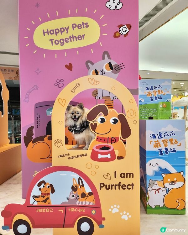 期待已久！東岸板道開通啦！🐶🌊