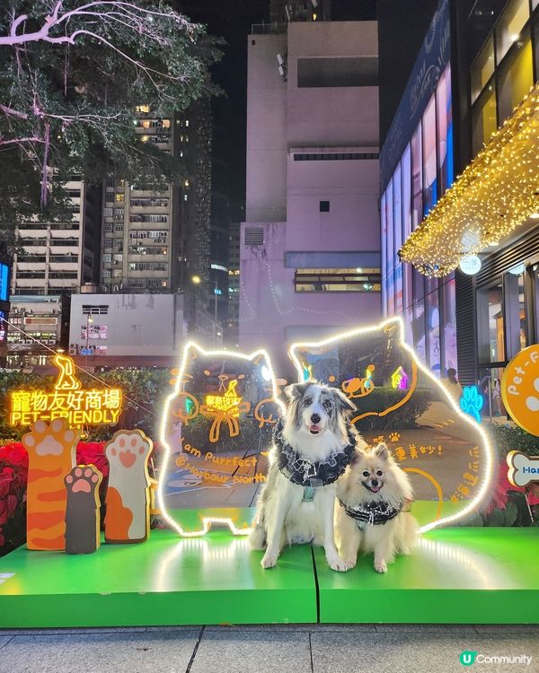 期待已久！東岸板道開通啦！🐶🌊
