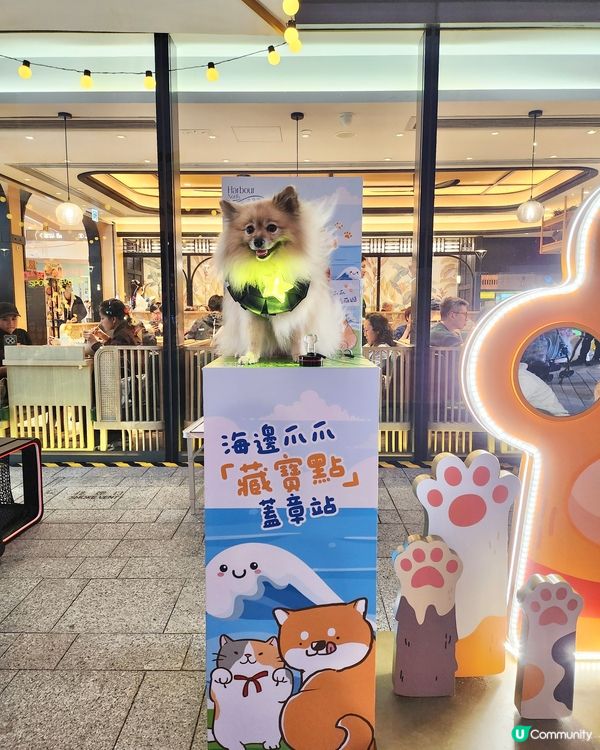 期待已久！東岸板道開通啦！🐶🌊