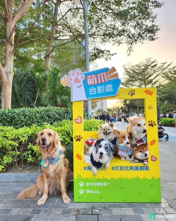 期待已久！東岸板道開通啦！🐶🌊