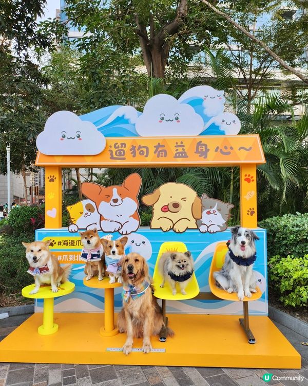 期待已久！東岸板道開通啦！🐶🌊