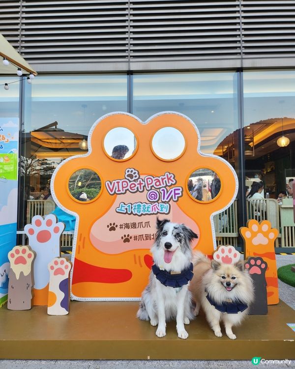 期待已久！東岸板道開通啦！🐶🌊