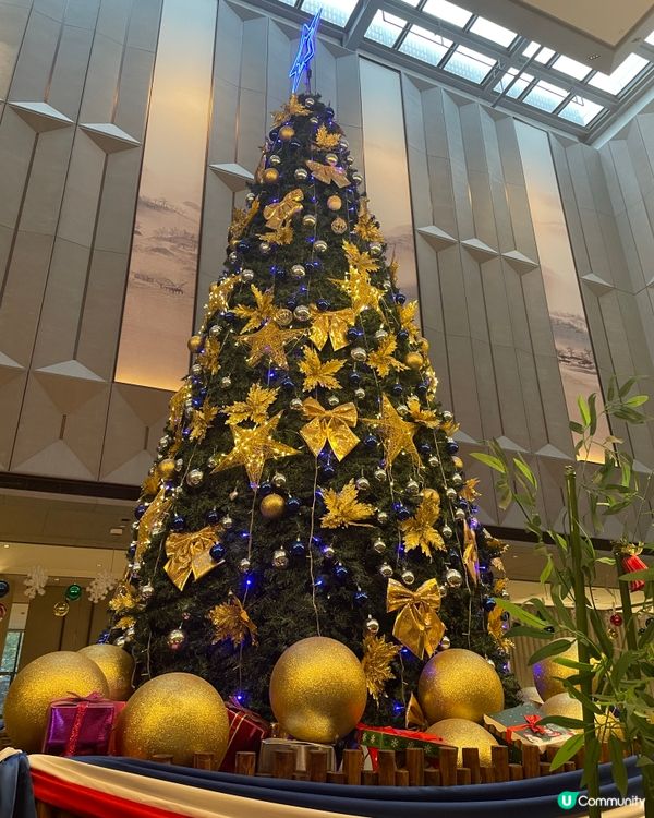 上海浦東Novotel酒店