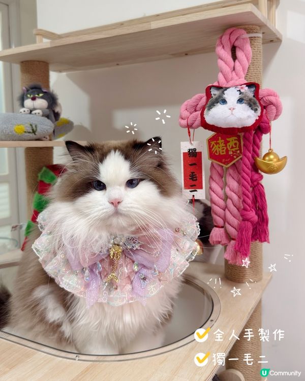 新年就到啦，你想唔想要有自己愛寵樣嘅新年如意結🪢👏🏻