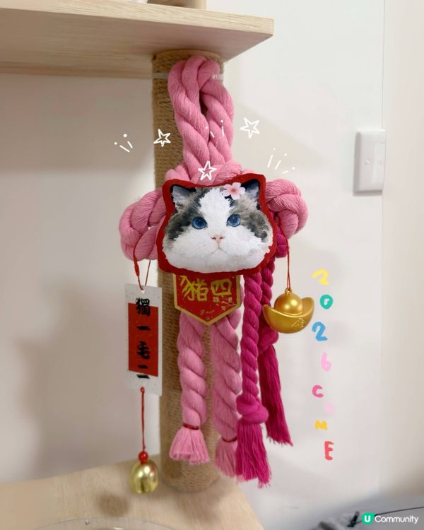 新年就到啦，你想唔想要有自己愛寵樣嘅新年如意結🪢👏🏻