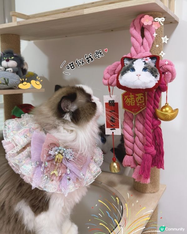 新年就到啦，你想唔想要有自己愛寵樣嘅新年如意結🪢👏🏻