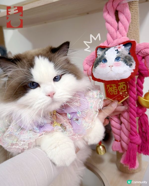 新年就到啦，你想唔想要有自己愛寵樣嘅新年如意結🪢👏🏻