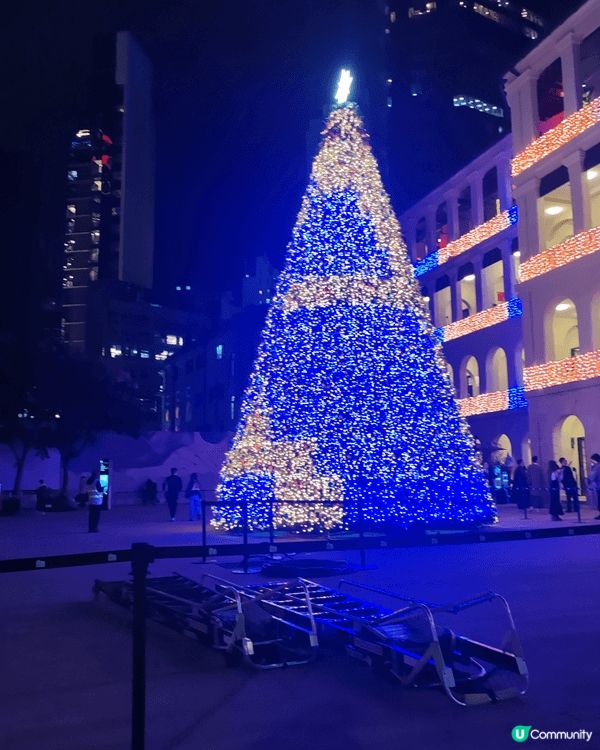 聖誕節時大館美麗的聖誕樹，平日大館亦好值得大家一去參觀昔日的...