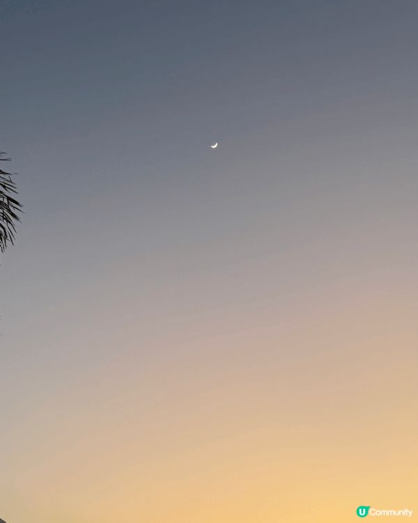 西九是一個風景很美的地方 適合家庭 情侶 朋友去