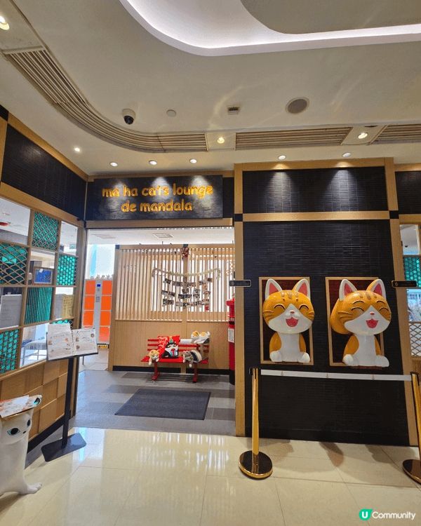 美麗華商場新開貓貓cafe，系親子愛貓人士好去處。
