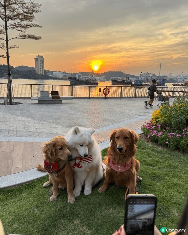 西沙go park
