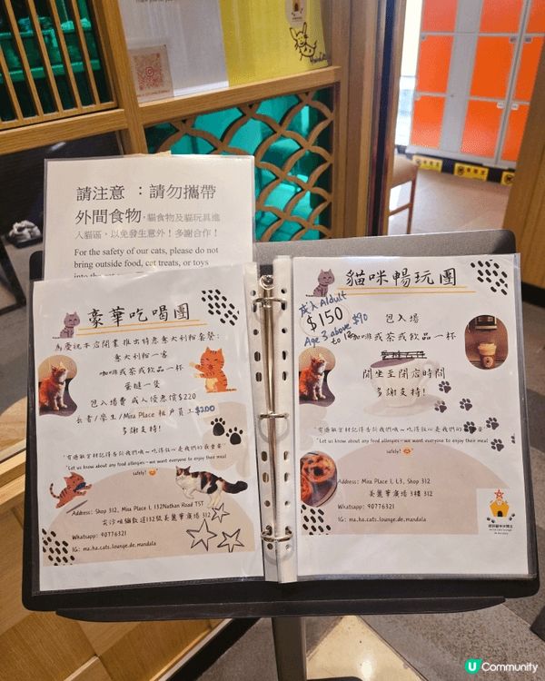 美麗華商場新開貓貓cafe，系親子愛貓人士好去處。