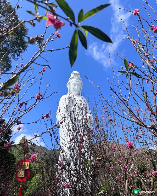 以上三個地點都很適合親子活動，位於大埔的香港鐵路博物館可以讓...