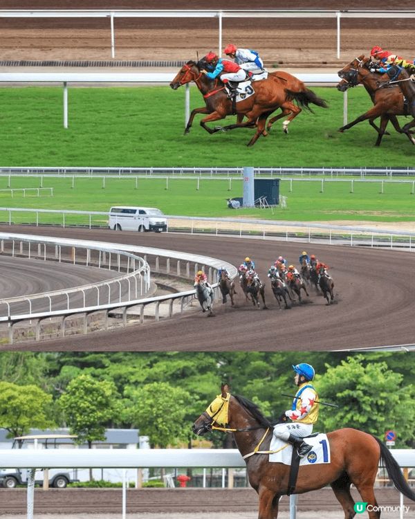 日本富士山打卡，马场赛马，三亚度假，香港Staycation...