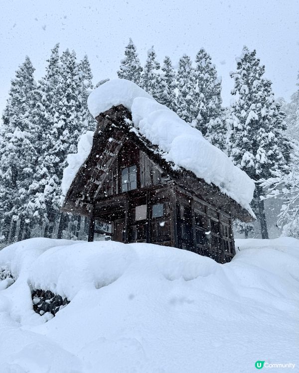 文化遺產白川鄉合掌川追雪之旅，比小朋友感受不一樣既白色冬天，...