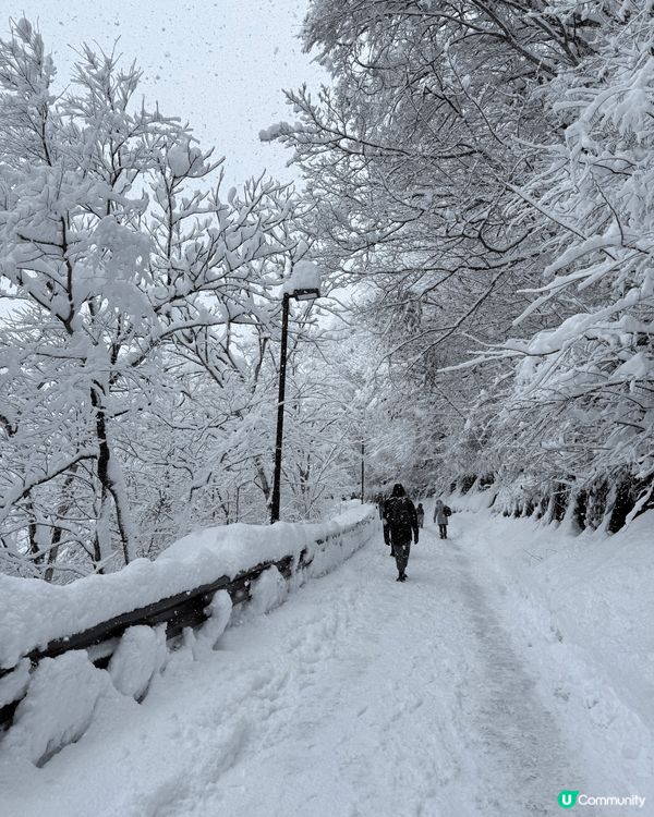 文化遺產白川鄉合掌川追雪之旅，比小朋友感受不一樣既白色冬天，...