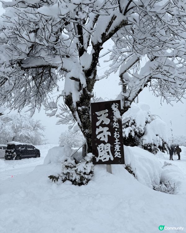 文化遺產白川鄉合掌川追雪之旅，比小朋友感受不一樣既白色冬天，...