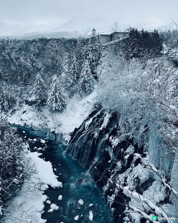 講去睇雪，必定係北海道雪景，一片雪白，浪漫又壯觀，影相打卡之...
