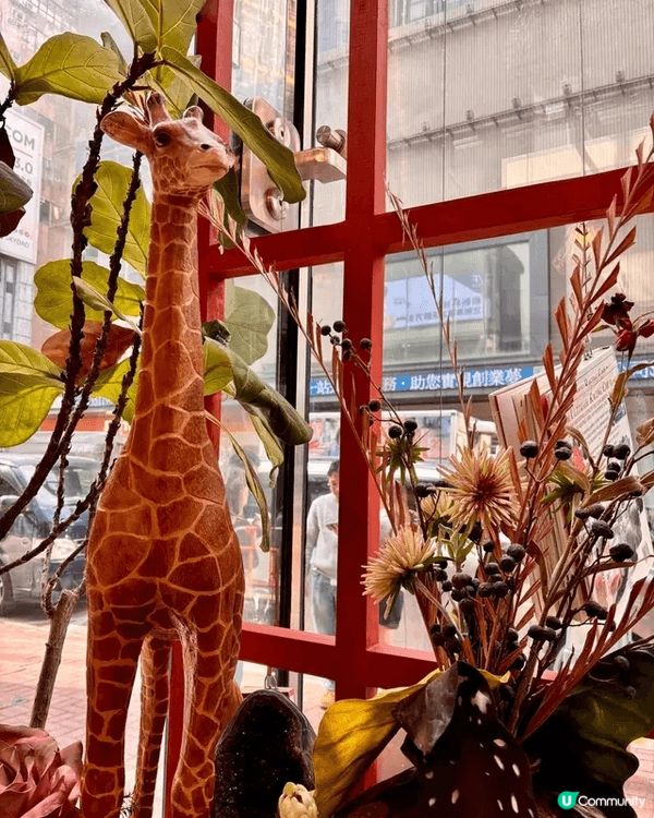 銅鑼灣📍The Old Book Store📚