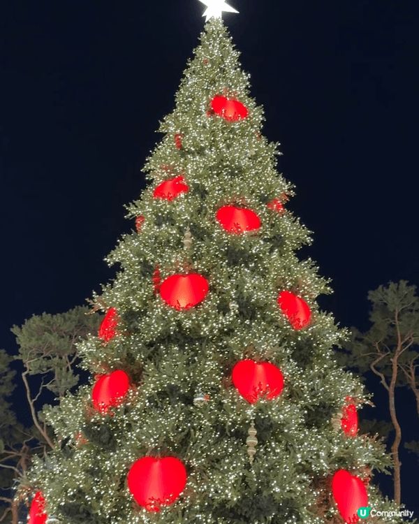 🎄樂天世界聖誕市集