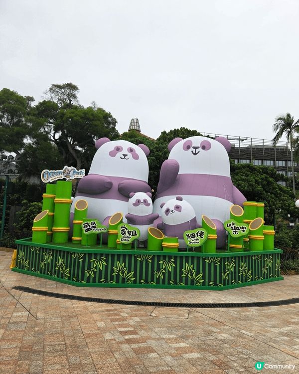 香港海洋公園是一家大小週末的好去處，探訪港產大熊貓龍鳳胎加加...