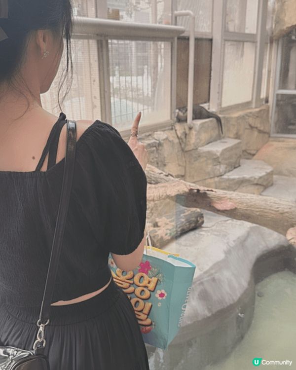 我和男朋友在上年五月二十日的節日去了香港動植物公園，因為當時...