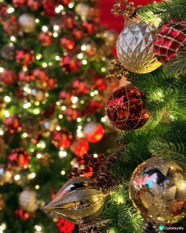 聖誕節，或是冬日好氣氛活動，莫過於四處睇醉人既聖誕樹同燈飾，...