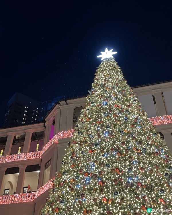 聖誕節，或是冬日好氣氛活動，莫過於四處睇醉人既聖誕樹同燈飾，...