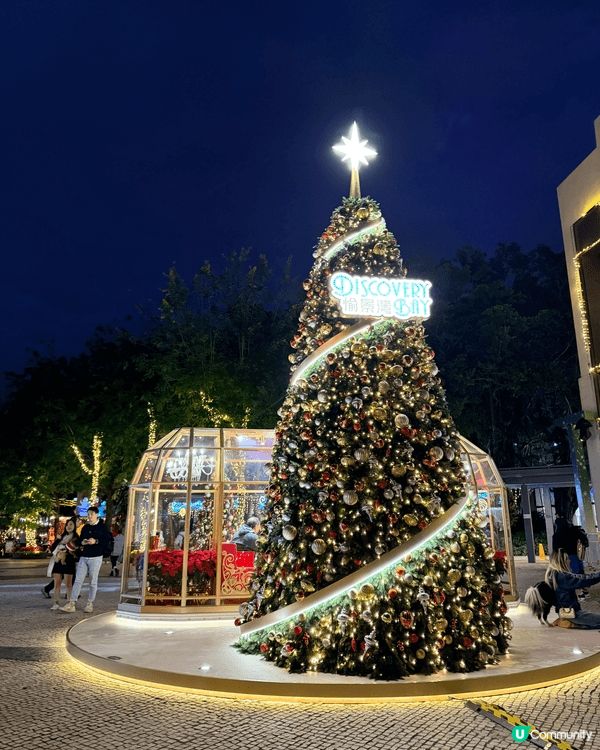 聖誕節，或是冬日好氣氛活動，莫過於四處睇醉人既聖誕樹同燈飾，...