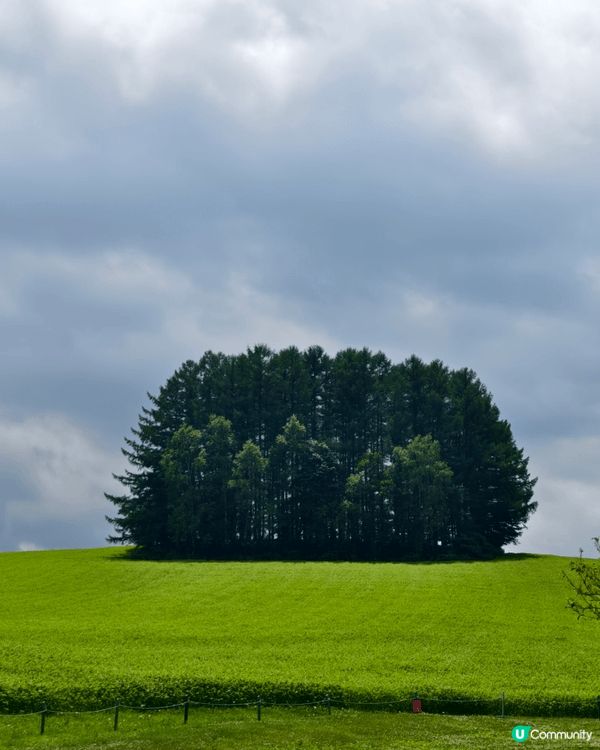 北海道的美瑛町（Biei）以廣闊的山丘田園景觀聞名，這裡有幾...