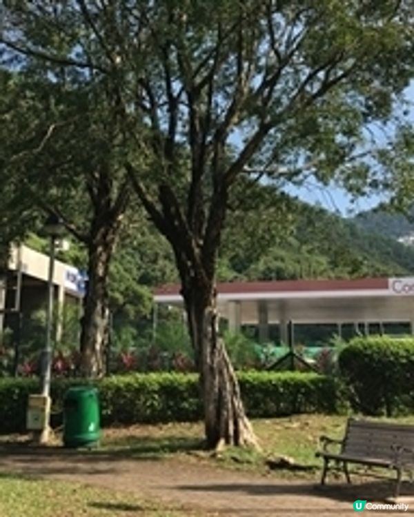 寶琳休憩處