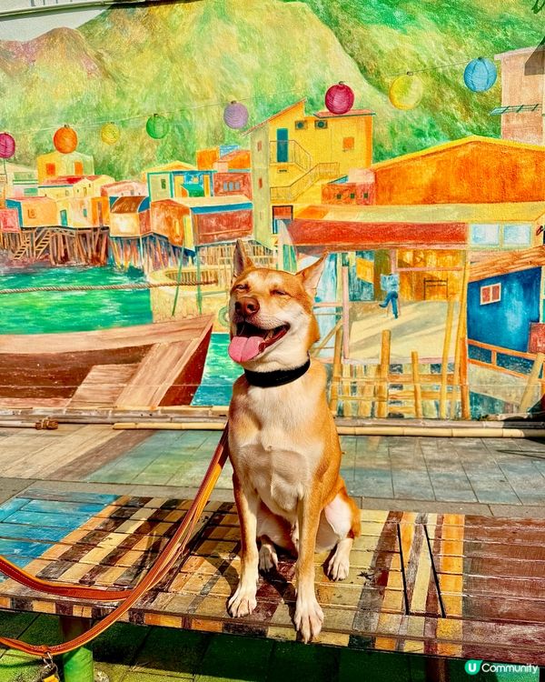 ❤️大澳一天遊❤️